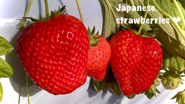 Големите сладки японски ягоди 🍓ИЧИГО🍓 Ядене на корем!